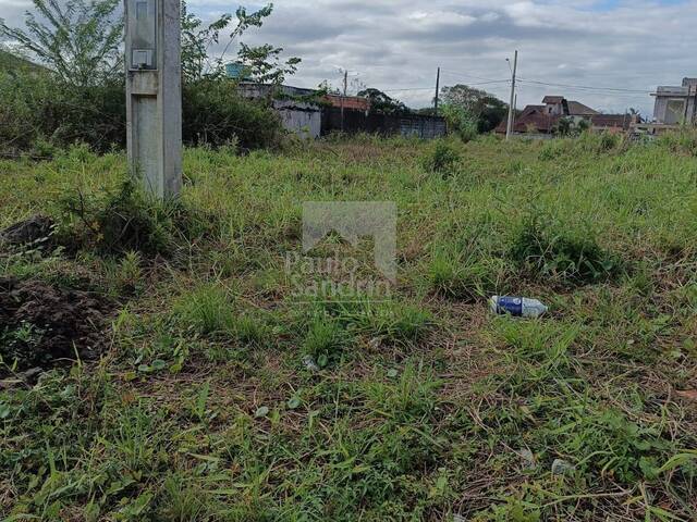 #TE009 - Área para Venda em Peruíbe - SP - 3