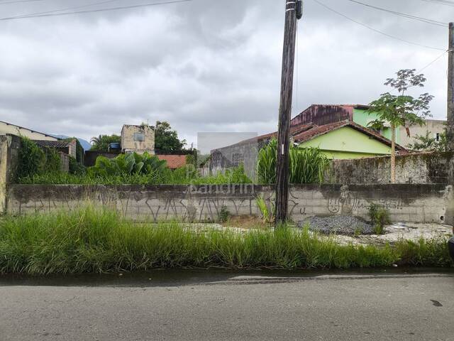 #TE029 - Área para Venda em Peruíbe - SP - 1