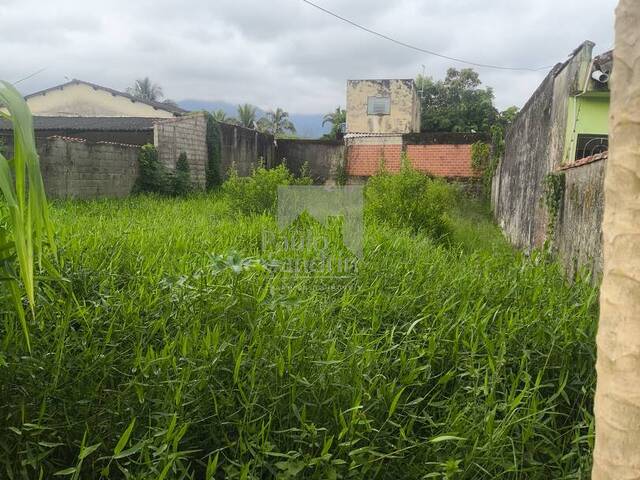 #TE029 - Área para Venda em Peruíbe - SP - 2