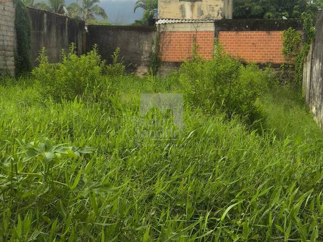 #TE029 - Área para Venda em Peruíbe - SP - 3