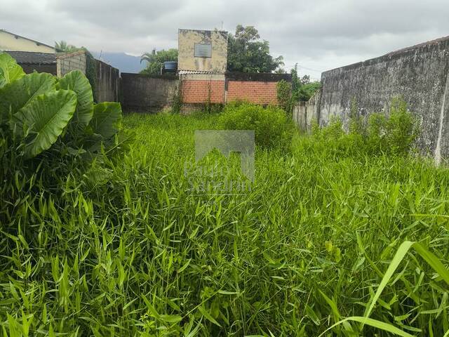 Área para Venda em Peruíbe - 5